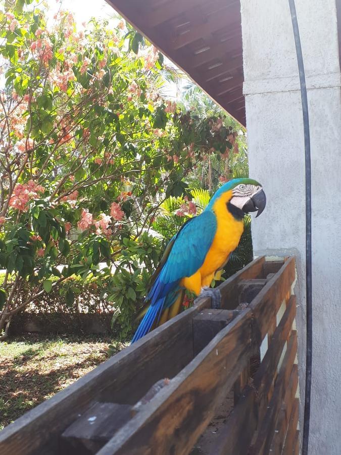 Pousada Recanto Dos Passaros Balsas Bagian luar foto