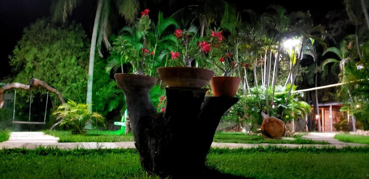 Pousada Recanto Dos Passaros Balsas Bagian luar foto