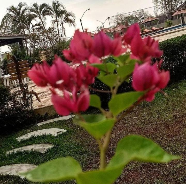 Pousada Recanto Dos Passaros Balsas Bagian luar foto