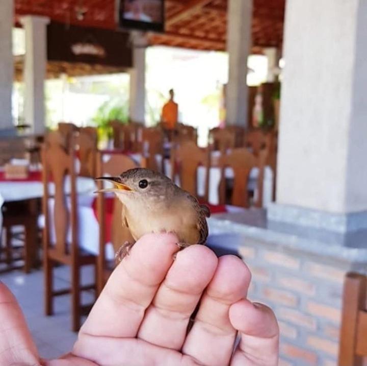 Pousada Recanto Dos Passaros Balsas Bagian luar foto